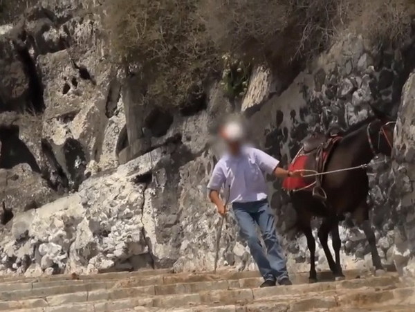 希臘驢仔全日無停手？被迫日載客晚載垃圾 