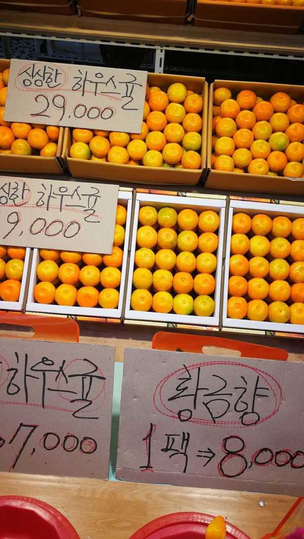 【Fact Check】遊濟州欲帶 3 箱柑橘回港得唔得?網民:尊重旅行國家的法規是常識