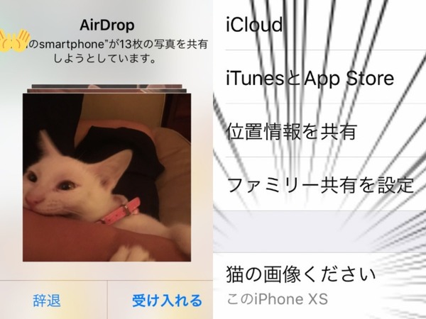 日本網友幫 AirDrop 改名即有收穫？貓奴們想爭相仿效