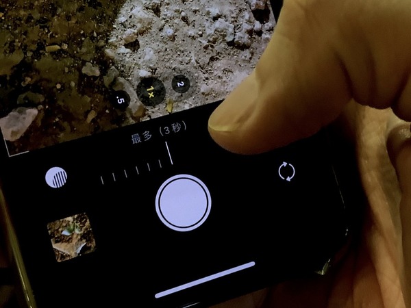 Apple iPhone 11 Pro 系列夜間攝力升級【多圖實拍】