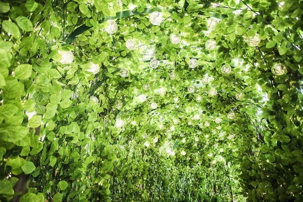 屯門市廣場 4 米高巨型 Hello Kitty 聖誕甜蜜相遇