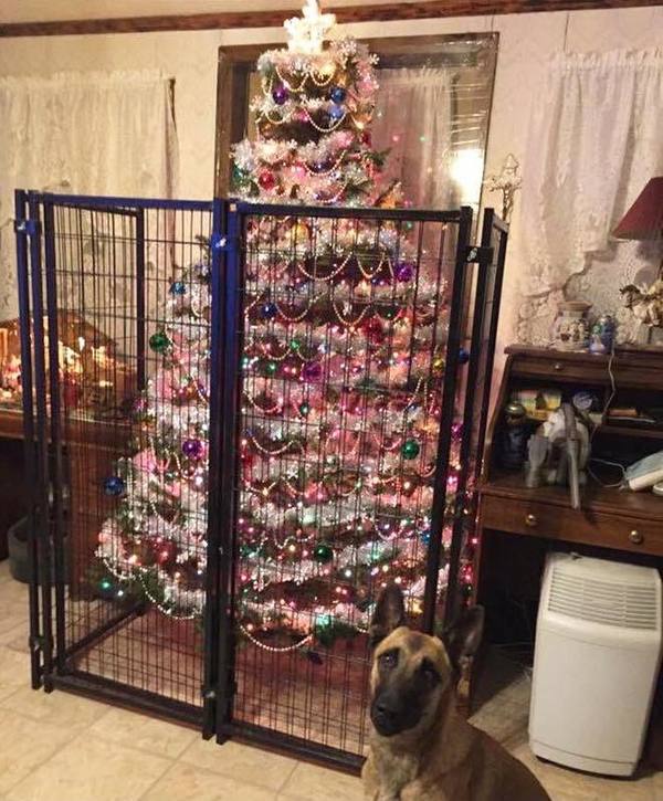 避免寵物破壞家中聖誕樹  網民盡出創意奇招【多圖】