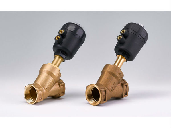 2019 年德國金鼻子剽竊獎公布  中國成為唯一贏家？