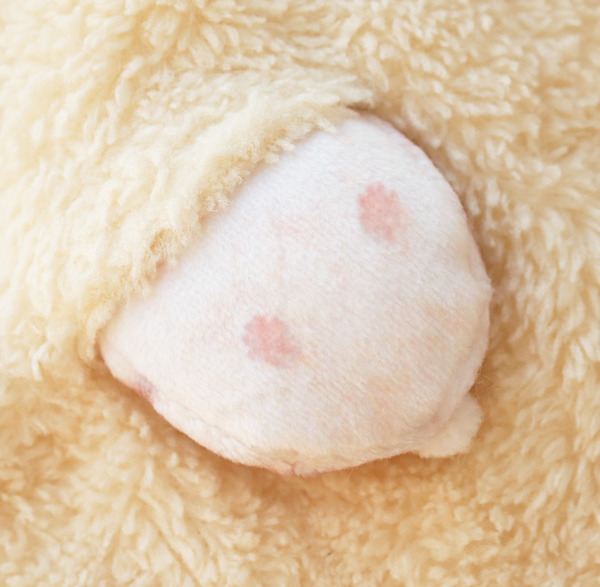 喜迎鼠年！日本雜貨店推可愛倉鼠毛巾仔