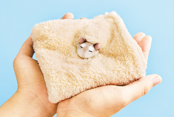 喜迎鼠年！日本雜貨店推可愛倉鼠毛巾仔