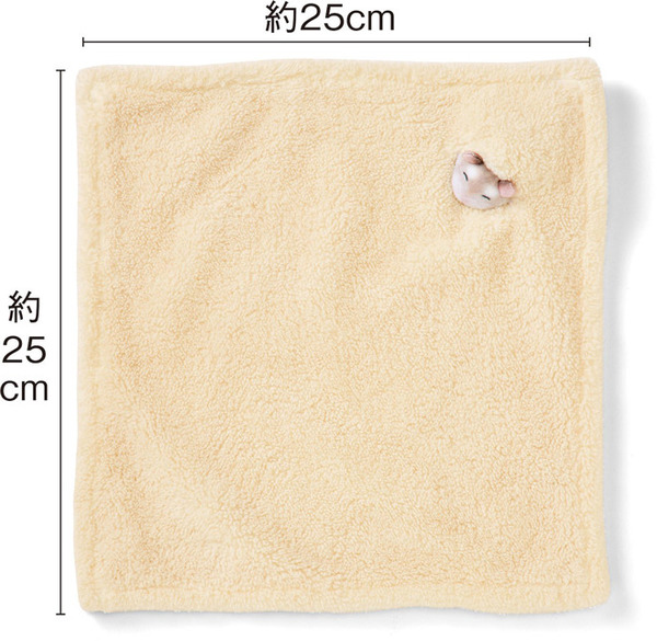 喜迎鼠年！日本雜貨店推可愛倉鼠毛巾仔