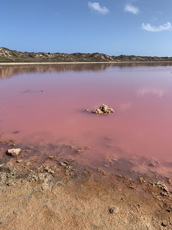 【氣候乾旱】西澳粉紅湖乾旱嚴重  湖水稀少水位下降