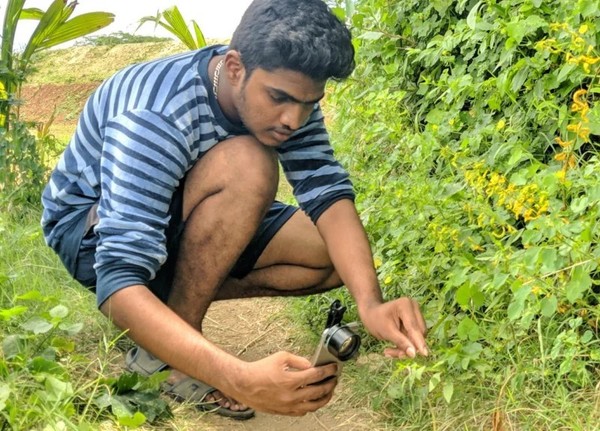 手機拍微距昆蟲照網上瘋傳  印度男盼大眾可看到微小世界中的美【多圖】