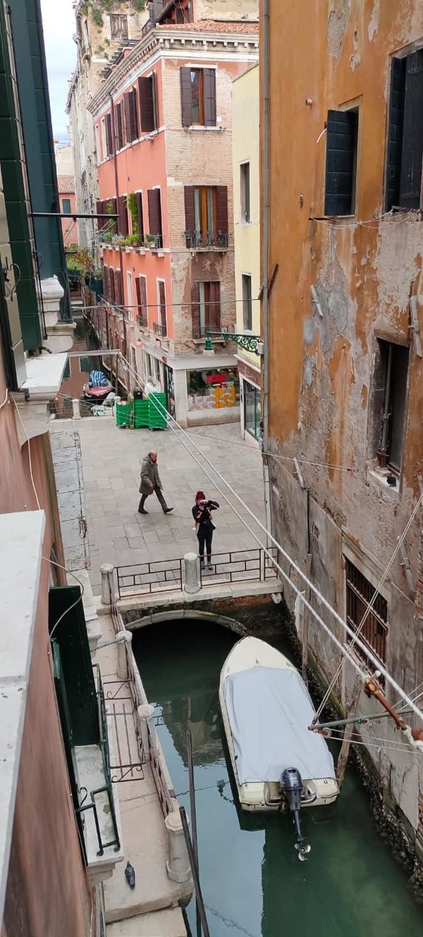 【新冠肺炎】威尼斯運河遊客銳減  清澈水質引來大量魚群