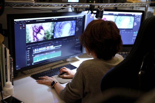 4K HDR手繪動畫 Sol Levante旭日