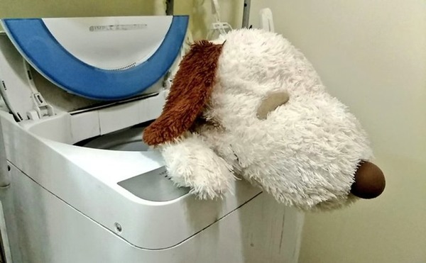 老公不懂用洗衣機 大量毛公仔遭遇「劫難」？