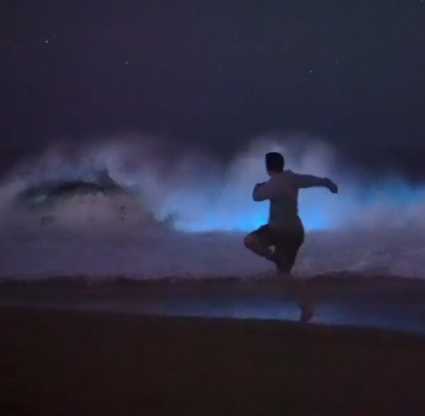 美國現罕見螢光藍海浪！科學家：美麗但有害