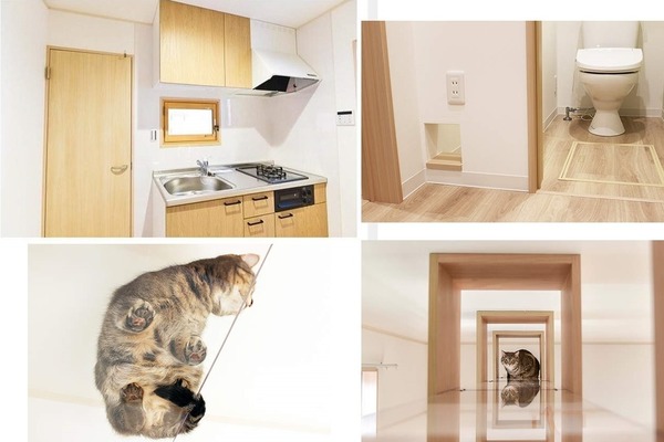 日本地產商推出養貓專用「貓奴公寓」！被貓貓監視也幸福？