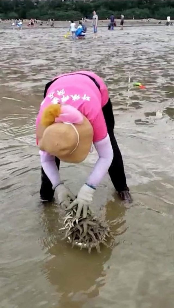 【破壞生態】大媽避疫到沙灘消遣  帶齊「架生」捕撈海星