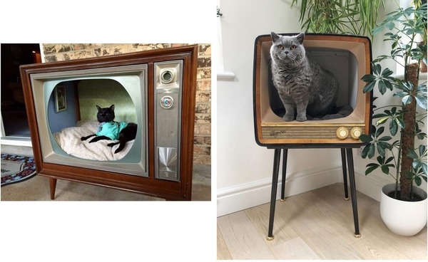 舊式電視機爆改變貓咪屋！型格之餘貓貓又超愛