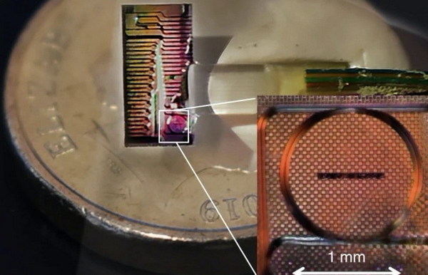 光纖傳輸新突破！micro comb 新設備成就 44.2Tbps 秒速下載