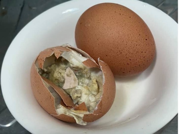 泰國雞蛋驚現「麵條形寄生蟲」  專家：細菌感染改變雞蛋特性
