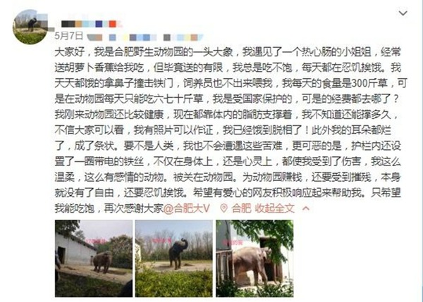 安徽大象疑餓至皮包骨怒撞鐵門  動物園解釋是拍攝角度問題