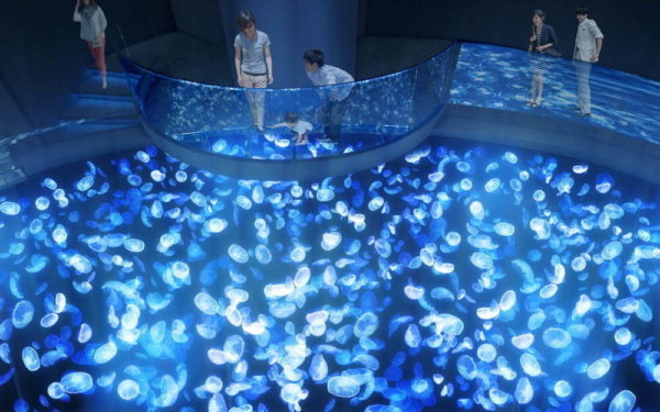 晴空塔墨田水族館大翻新！大型藍光水母池超級夢幻
