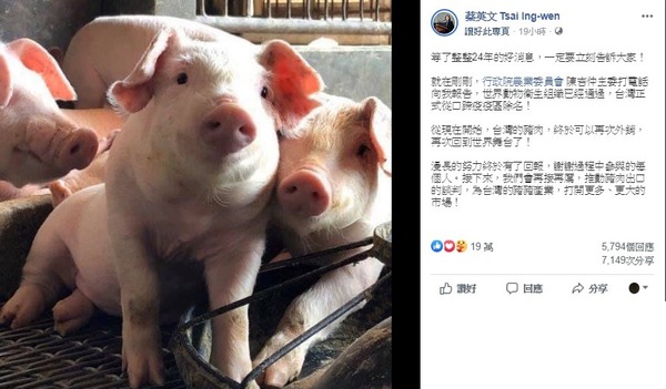台灣歷 24 年終從口蹄疫區除名！香港或成台豬首選出口市場