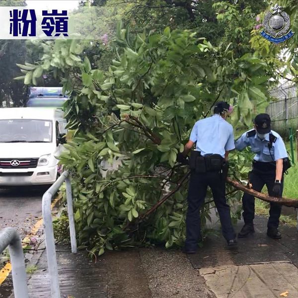 颱風下香港警察搬樹移除雜物  影相放 Facebook 打卡？