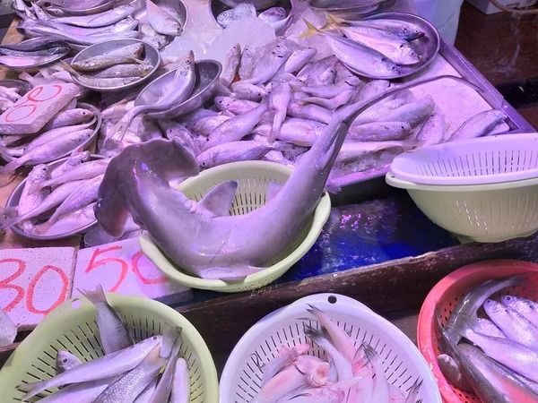 街市魚檔出售雙搥頭鯊魚  網民反問：真喺有人買呢種魚？