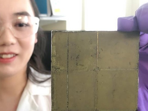 劍橋大學團隊研發新型裝置  實現人工光合作用有期？