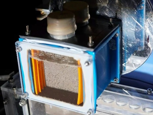 劍橋大學團隊研發新型裝置  實現人工光合作用有期？