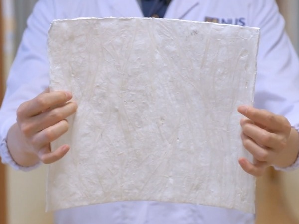 新加坡大學將菠蘿葉升級再造 蔬果保鮮 ＋ 污水處理一樣掂