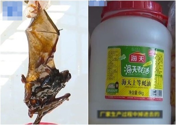 中國蠔油樽底藏蝙蝠！買家食用 3 個月後始發現