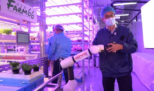 ​​​​​​​【專訪】港人種港菜 搵機械人做農夫搞大數據種植