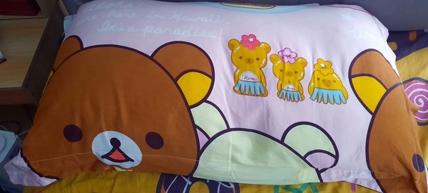 淘寶買鬆弛熊枕頭套被「斬頭」 店方解釋「隨機裁剪」