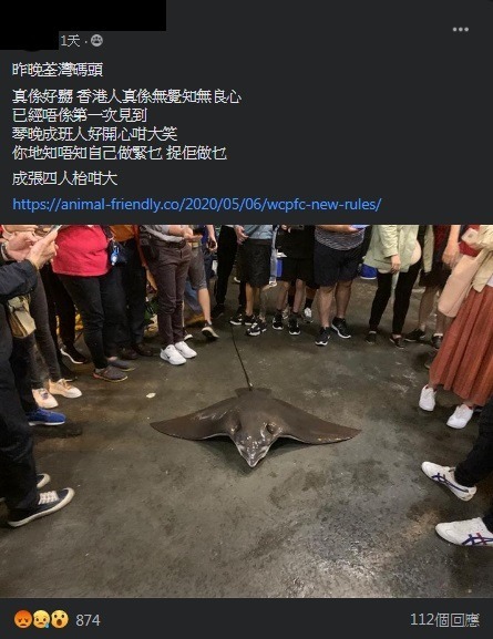 荃灣捕獲巨型魔鬼魚途人圍觀拍照!網民怒罵:應放生