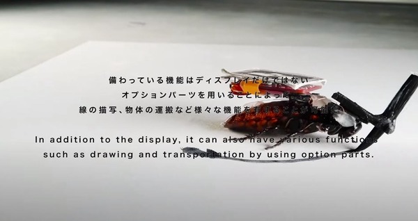 日本研發「機械生化蟑螂」 可遙控用於搬運甚至救災