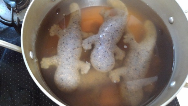 日本娃娃魚蒟蒻 整蠱朋友一流?