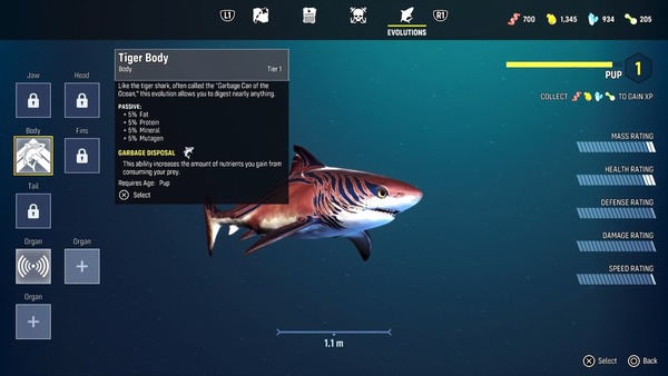 光追震動獵食新感覺 食人鯊Maneater【PS5】
