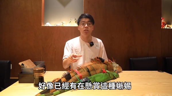 YouTuber 食綠鬣蜥稱為台灣生態除害  味道似雞肉網民意見兩極