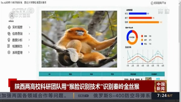 中國研發「猴臉辨識」  識別金絲猴準確率逾 95％