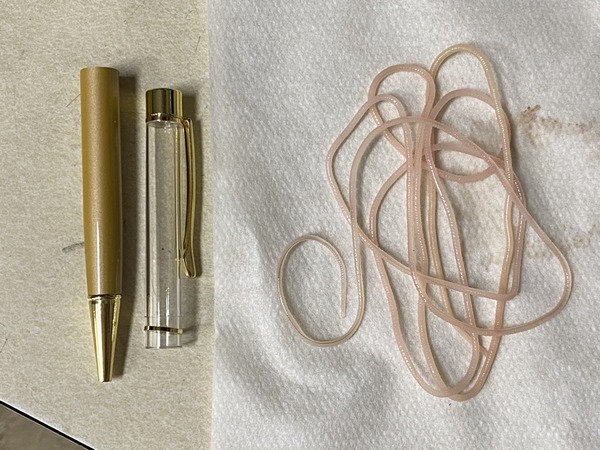 日本活寄生蟲海獸胃線蟲原子筆再瘋傳 別輕看擁3大神科技 網民崩潰：送畀老細