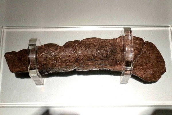 英國展出維京人糞便化石 號稱史上最大長 20 厘米
