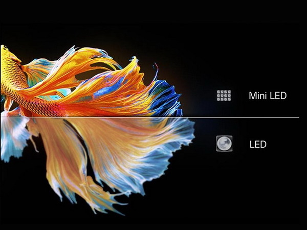 【現場實測】LG QNED Mini LED TV 65 吋 QNED99 極致色彩光暗