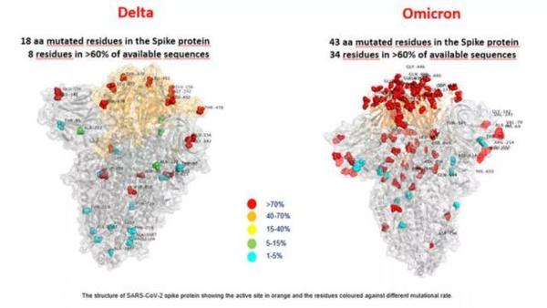 【新冠疫情】南開大學研究 Omicron 傳染力較 Delta 高 37.5％