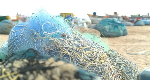 Samsung 擴大使用環保材料 新款 Galaxy 將循環再用廢棄漁網