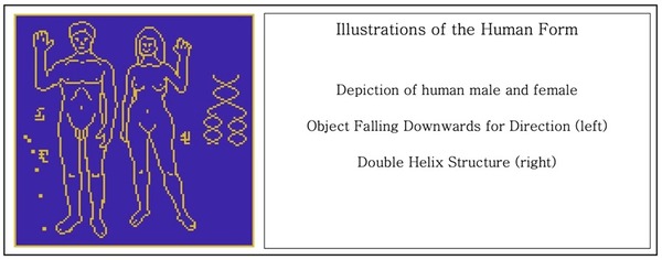 NASA 計劃發送人類裸圖到太空 冀「吸引」外星人注意