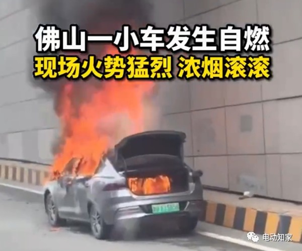 珠海比亞迪電動車突然自燃 同月發生多宗類似事故