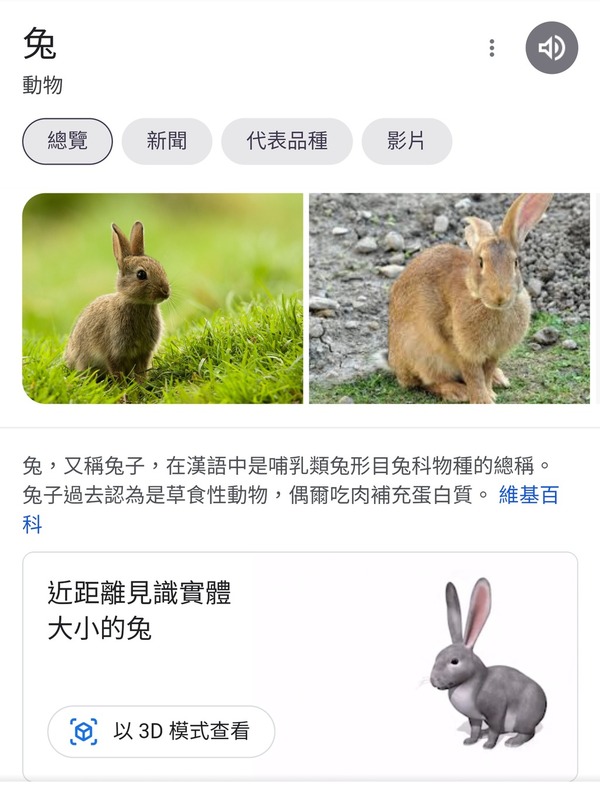 Google 推四大新年限定功能！簡單幾步召喚 AR 兔仔！