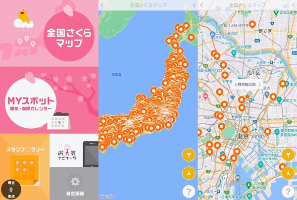 2023 日本賞櫻必備 App《桜のきもち》開花日、盛開日預測