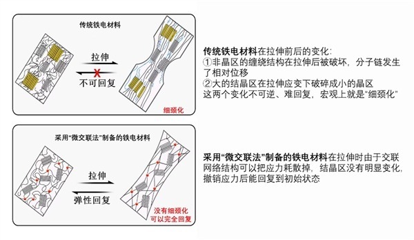 中國成功研發彈性鐵電材料 未來手機或可任意彎曲