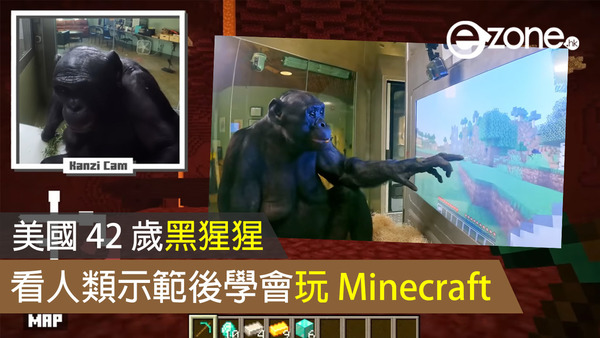 美國 42 歲黑猩猩 看人類示範後學會玩 Minecraft