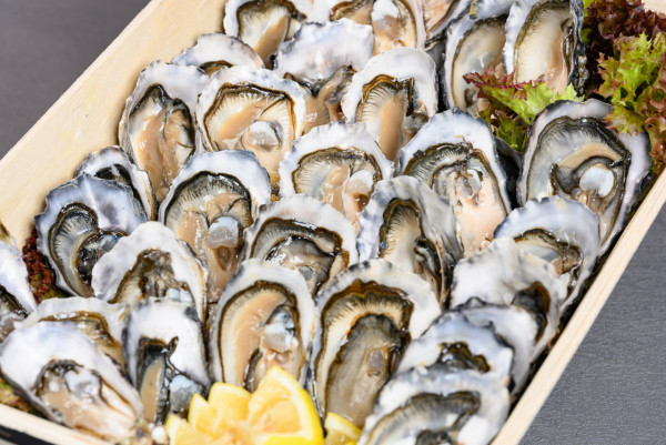 荃灣旭逸酒店自助餐優惠|Eat@ease聖誕Buffet低至62折!人均$240任食生蠔